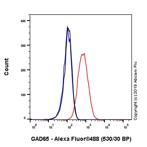 Flow Cytometry (Intracellular) - Anti-GAD65 antibody [EPR22952-70] (ab239372), expandable thumbnail