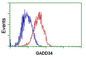 Flow Cytometry (Intracellular) - Anti-GADD34 antibody [OTI2B11] (AB236516)