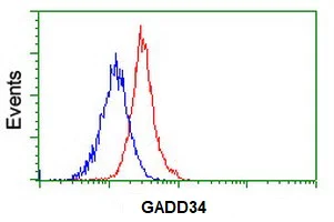 Flow Cytometry (Intracellular) - Anti-GADD34 antibody [OTI2B11] (AB236516)