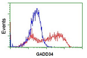 Flow Cytometry (Intracellular) - Anti-GADD34 antibody [OTI2B11] (AB236516)