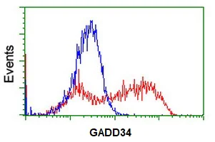 Flow Cytometry (Intracellular) - Anti-GADD34 antibody [OTI2B11] (AB236516)