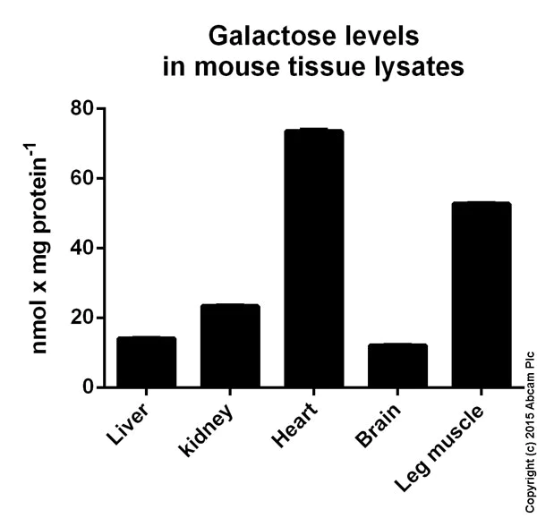 Functional Studies - Galactose Assay Kit (AB83382)