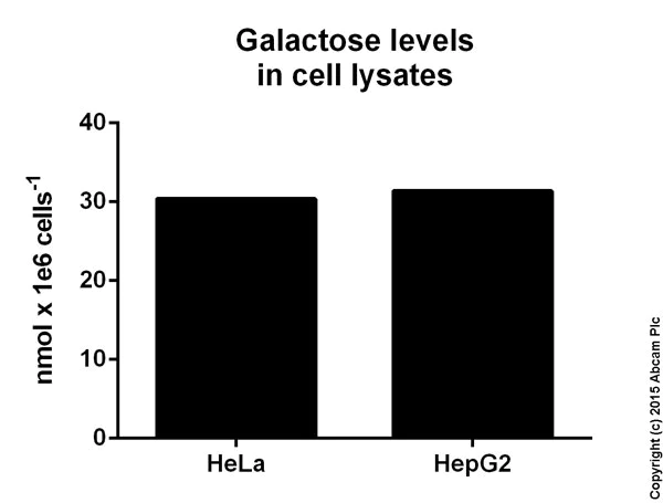 Functional Studies - Galactose Assay Kit (AB83382)