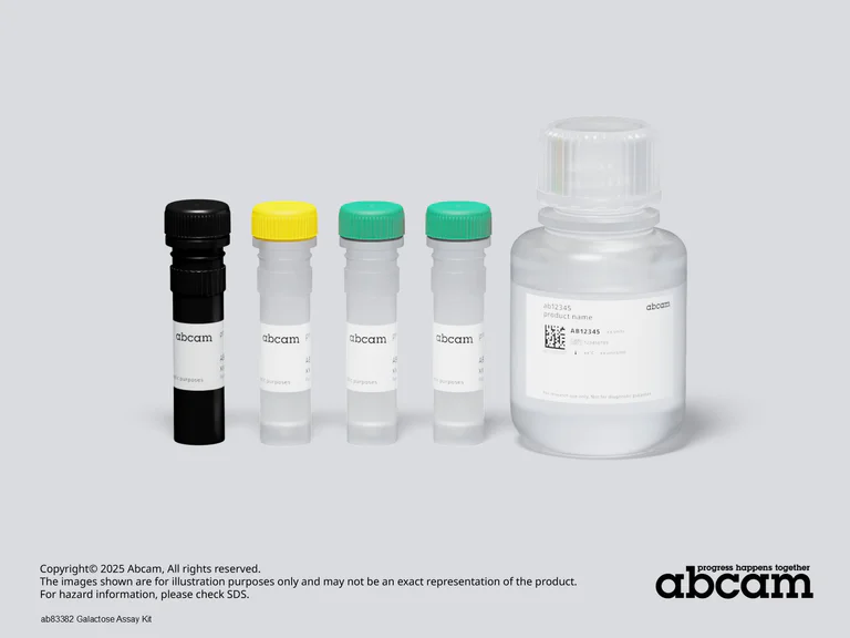 Schematic Diagram - Galactose Assay Kit (AB83382)