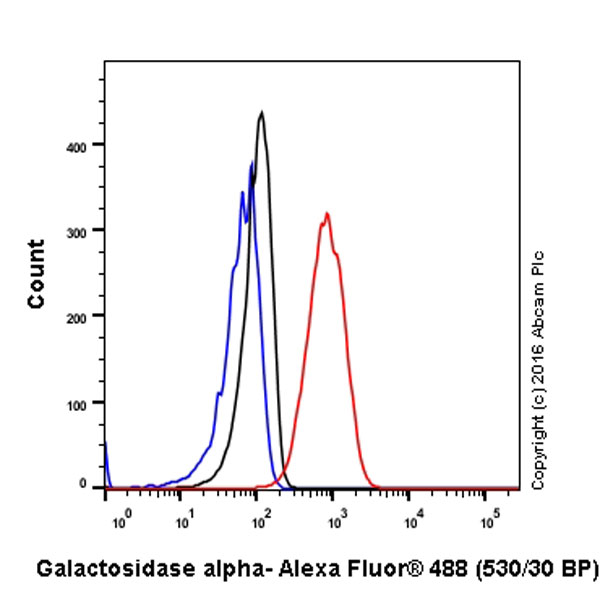 Flow Cytometry (Intracellular) - Anti-Galactosidase alpha antibody [EP5828(2)] (AB168341)