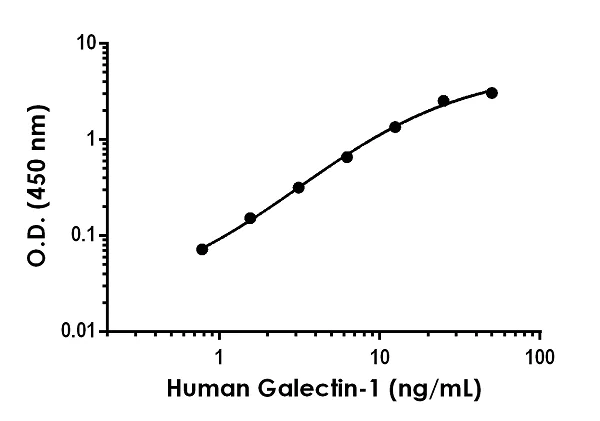Sandwich ELISA - Anti-Galectin 1 antibody [EPR22000-257] - BSA and Azide free (Detector) (AB259678)