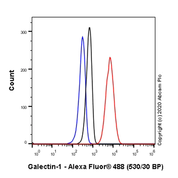 Flow Cytometry (Intracellular) - Anti-Galectin 1 antibody [EPR3206(2)] - BSA and Azide free (AB240111)
