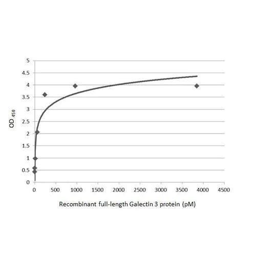 Sandwich ELISA - Anti-Galectin 3 antibody [HL2397] (AB317216)