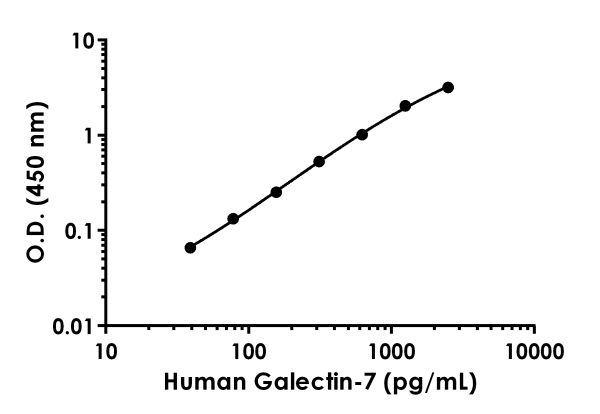 Sandwich ELISA - Anti-Galectin 7 antibody [EPR19903-136] - BSA and Azide free (Detector) (AB244912)