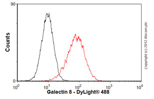 Flow Cytometry (Intracellular) - Anti-Galectin 8/Gal-8 antibody [EPR4857] - BSA and Azide free (ab239983), expandable thumbnail