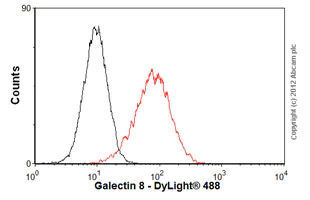 Flow Cytometry (Intracellular) - Anti-Galectin 8/Gal-8 antibody [EPR4857] - BSA and Azide free (AB239983)