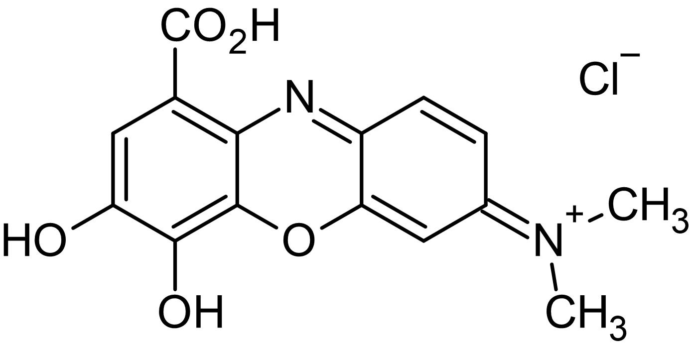 Chemical Structure - Gallocyanine, DKK1 inhibitor (AB145230), expandable thumbnail