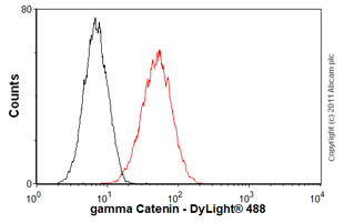 Flow Cytometry (Intracellular) - Anti-gamma Catenin antibody [15F11] (AB12083)