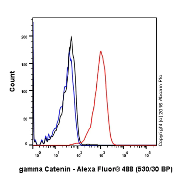Flow Cytometry (Intracellular) - Anti-gamma Catenin antibody [EPR17310-48] (AB200661)
