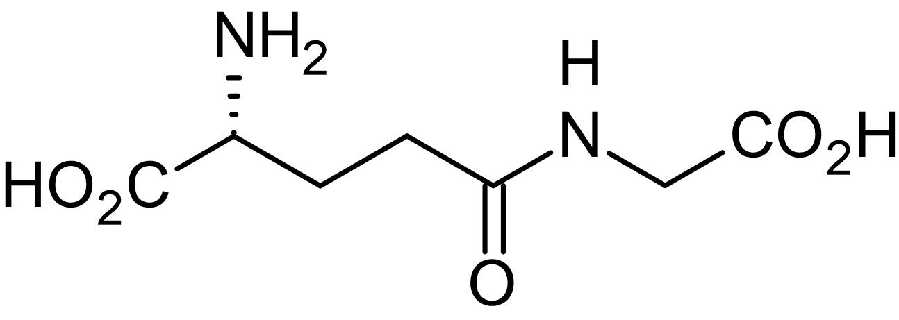 gamma-DGG (gamma-D-Glutamylglycine), Ionotropic glutamate antagonist