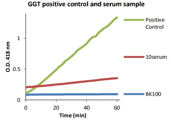 Functional Studies - Gamma Glutamyl Transferase (GGT) Assay Kit (Colorimetric) (AB241029)