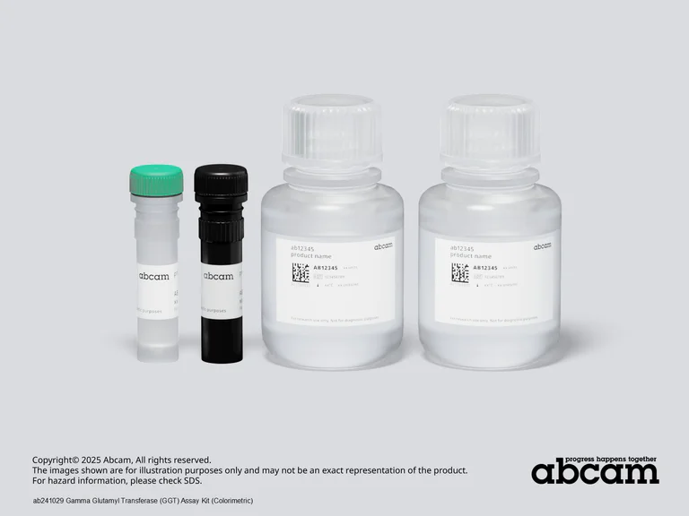 Schematic Diagram - Gamma Glutamyl Transferase (GGT) Assay Kit (Colorimetric) (AB241029)