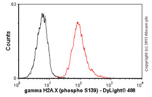 Anti-GH2AX (phospho S139) antibody [3F2] (ab22551) | Abcam
