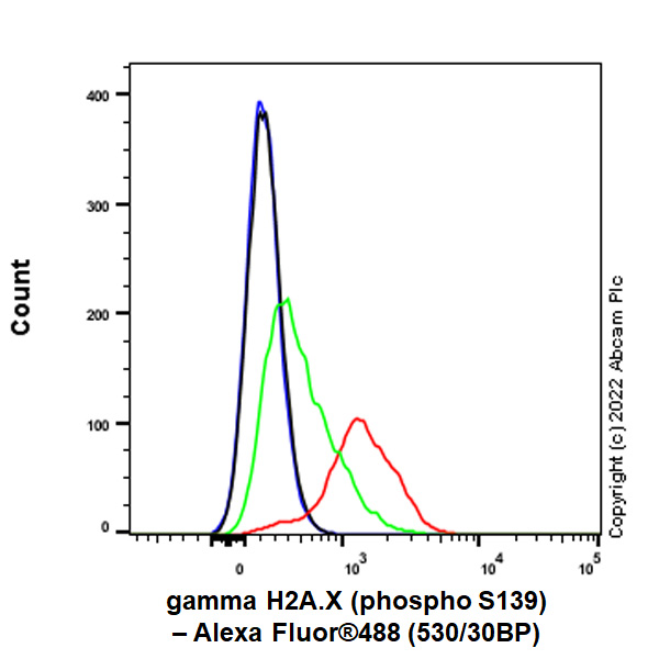 Anti-gamma H2A.X (phospho S139) antibody [N1-431] (ab303656) | Abcam