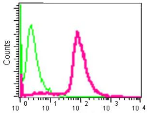 Flow Cytometry (Intracellular) - Anti-gamma Tubulin antibody [EPR13872] - Centrosome Marker (AB180595)
