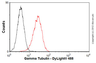Flow Cytometry (Intracellular) - Anti-gamma Tubulin antibody [TU-30] - Centrosome Marker (AB27074), expandable thumbnail