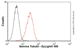Flow Cytometry (Intracellular) - Anti-gamma Tubulin antibody [TU-30] - Centrosome Marker (AB27074)