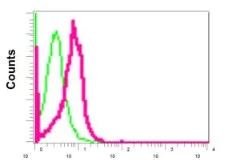 Flow Cytometry (Intracellular) - Anti-GANAB antibody [EPR12376] - BSA and Azide free (AB249921)