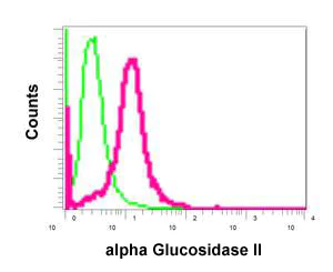 Flow Cytometry (Intracellular) - Anti-GANAB antibody [EPR12377(B)] - BSA and Azide free (AB250111)