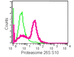 Flow Cytometry (Intracellular) - Anti-Gankyrin antibody [EPR14455] - BSA and Azide free (AB238999)