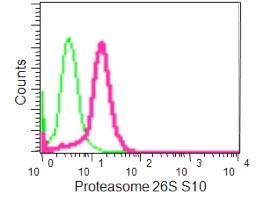 Flow Cytometry (Intracellular) - Anti-Gankyrin antibody [EPR14456(2)] (AB188315)