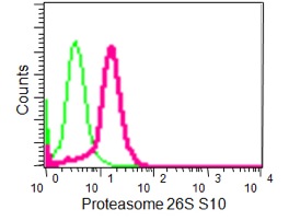 Flow Cytometry (Intracellular) - Anti-Gankyrin antibody [EPR14456(2)] - BSA and Azide free (AB250947)