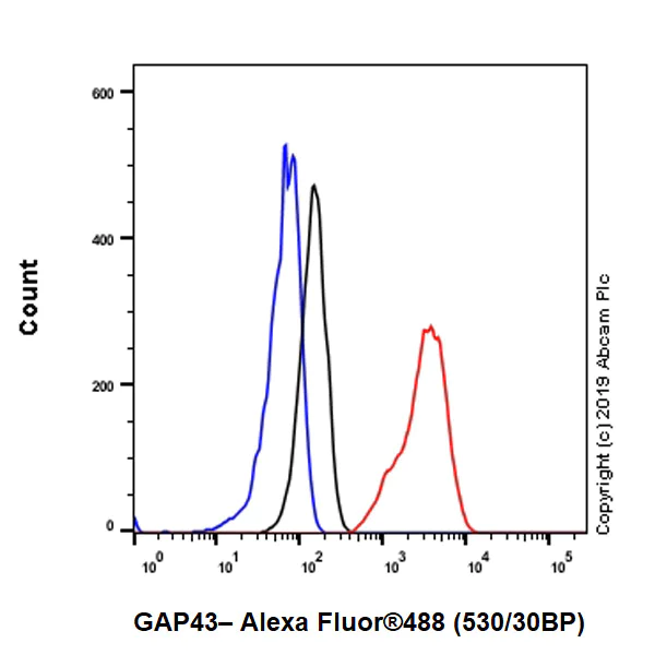 Flow Cytometry (Intracellular) - Anti-GAP43 antibody [EP890Y] - BSA and Azide free (AB219582)