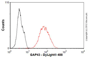 Flow Cytometry (Intracellular) - Anti-GAP43 antibody [EP890Y] - BSA and Azide free (AB219582)