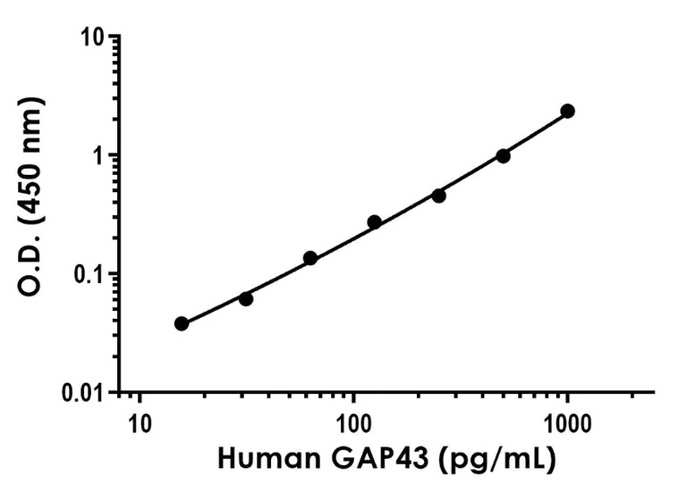 Sandwich ELISA - Anti-GAP43 antibody [EPR890-4] - BSA and Azide free (Detector) (AB281047)
