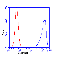 Flow Cytometry - Anti-GAPDH antibody [3E8AD9] - Loading Control (AB110305), expandable thumbnail