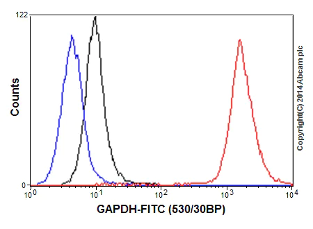 Flow Cytometry (Intracellular) - Anti-GAPDH antibody [EPR16891] - BSA and Azide free (AB199553)