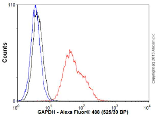 Flow Cytometry (Intracellular) - Anti-GAPDH antibody [EPR6256] - BSA and Azide free (AB186930)