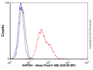 Flow Cytometry (Intracellular) - Anti-GAPDH antibody [EPR6256] - Loading Control (ab128915), expandable thumbnail