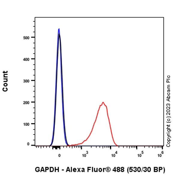 Flow Cytometry (Intracellular) - Anti-GAPDH antibody [RM1050] - Loading Control - BSA and Azide free (AB313651)