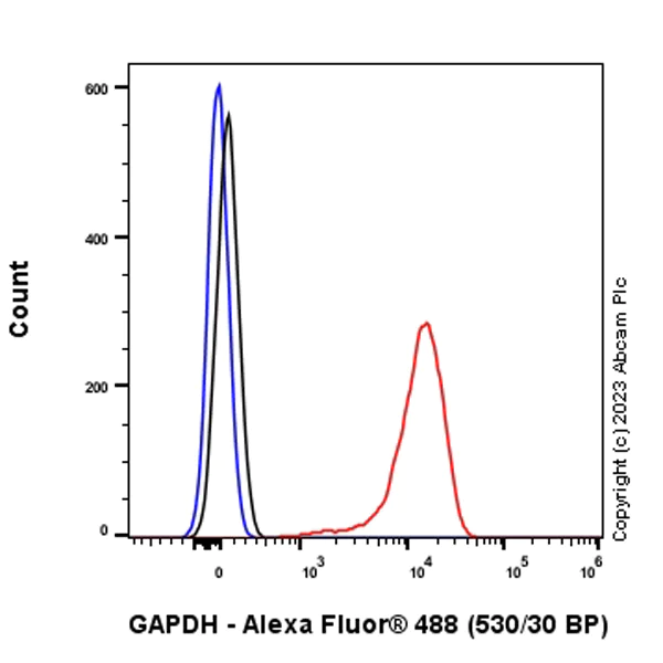 Flow Cytometry (Intracellular) - Anti-GAPDH antibody [RM1050] - Loading Control - BSA and Azide free (AB313651)