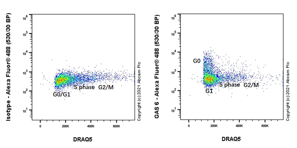 Flow Cytometry (Intracellular) - Anti-GAS 6 antibody [EPR23931-27] (AB264098), expandable thumbnail