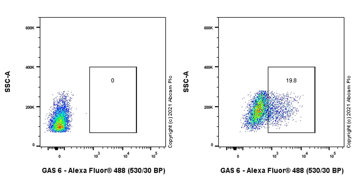 Flow Cytometry (Intracellular) - Anti-GAS 6 antibody [EPR23931-27] (ab264098), expandable thumbnail