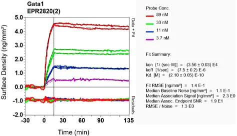 OI-RD Scanning - Anti-GATA1 antibody [EPR2820(2)] (AB133274)