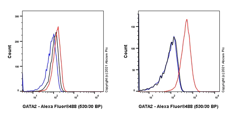 Flow Cytometry - Anti-GATA2 + GATA3 antibody [EPR24359-3] (AB272237)