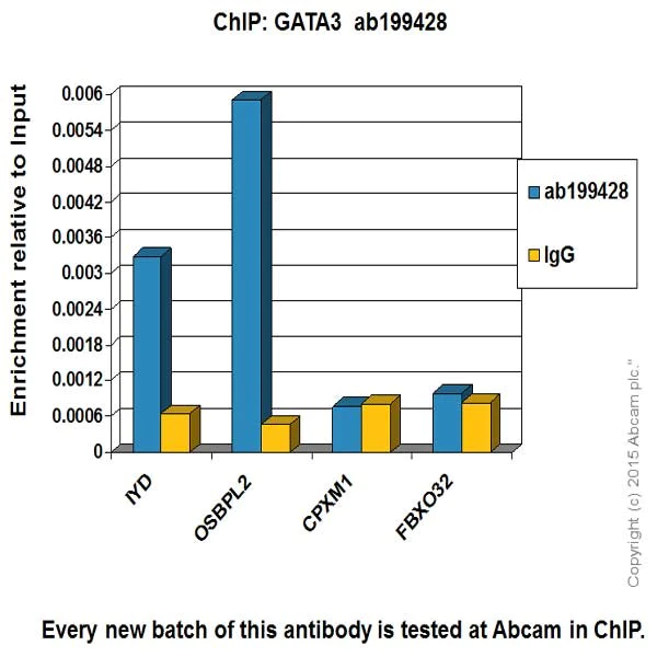 ChIP - Anti-GATA3 antibody [EPR16651] - BSA and Azide free (AB214804)