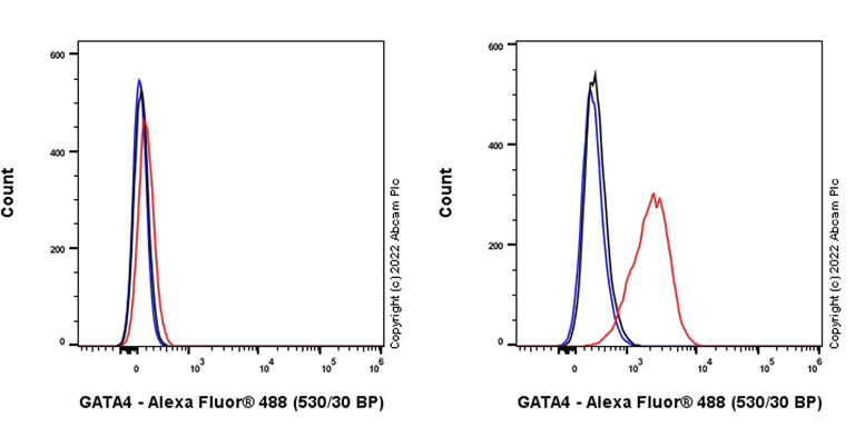 Flow Cytometry (Intracellular) - Anti-GATA4 antibody [EPR26718-103] (AB307823)