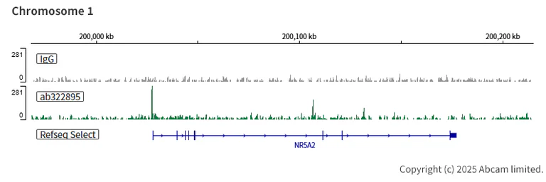 ChIC/CUT&RUN sequencing - Anti-Gata6 antibody [EPR29847-53] - BSA and Azide free (AB326609)