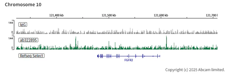 ChIC/CUT&RUN sequencing - Anti-Gata6 antibody [EPR29847-53] - BSA and Azide free (AB326609)