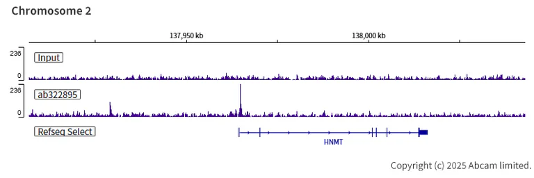 ChIP-sequencing - Anti-Gata6 antibody [EPR29847-53] - BSA and Azide free (AB326609)