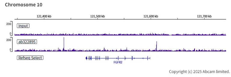ChIP-sequencing - Anti-Gata6 antibody [EPR29847-53] - BSA and Azide free (AB326609)